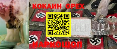 прущие грибы Кандалакша