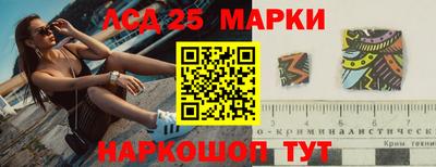 прущие грибы Кандалакша
