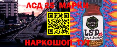 прущие грибы Кандалакша