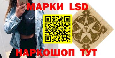 прущие грибы Кандалакша