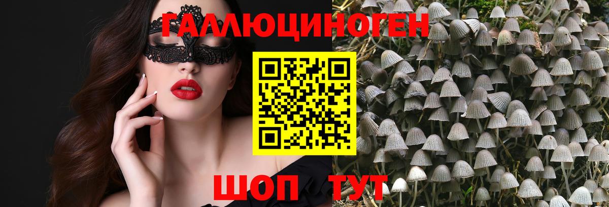 Галлюциногенные грибы мицелий  Вход с VPN  Киселёвск 