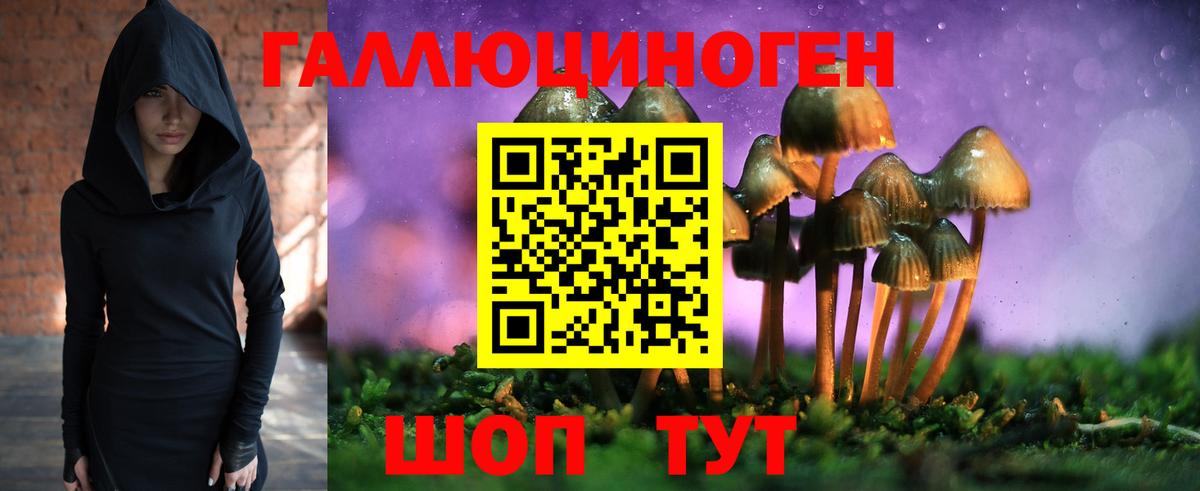 Галлюциногенные грибы MAGIC MUSHROOMS Киселёвск