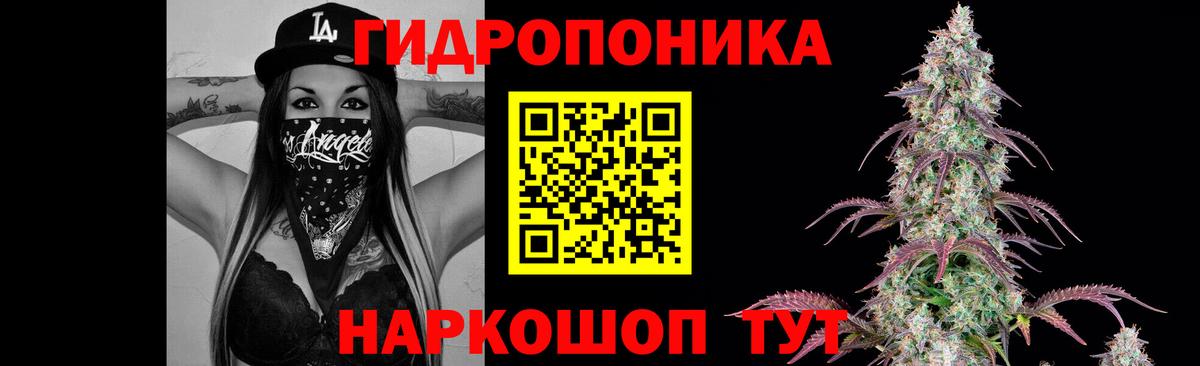 Шишки марихуана Ganja  Канабис Bruce Banner  Киселёвск  Конопля VHQ  Вход с VPN 