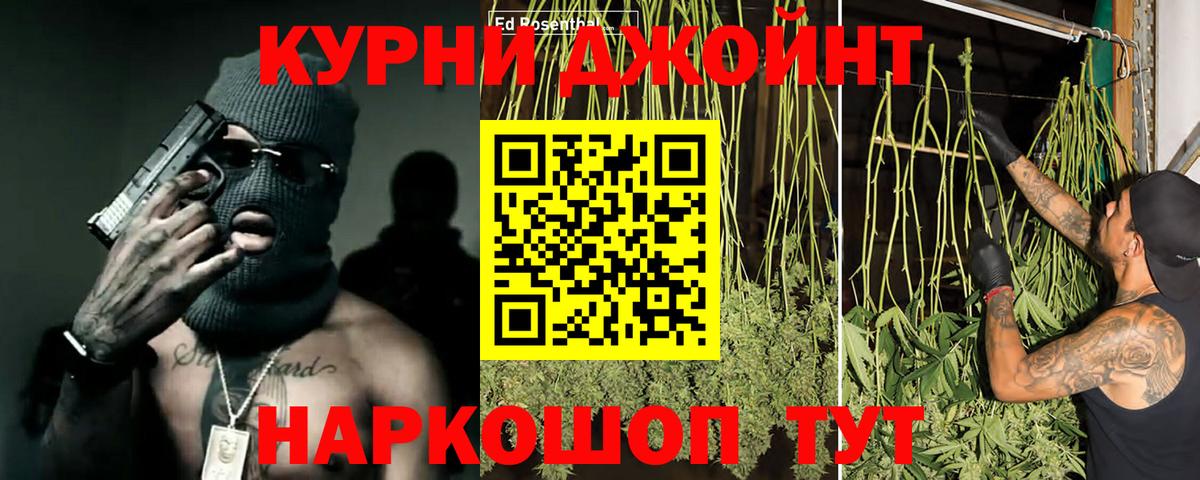 Конопля OG Kush Киселёвск